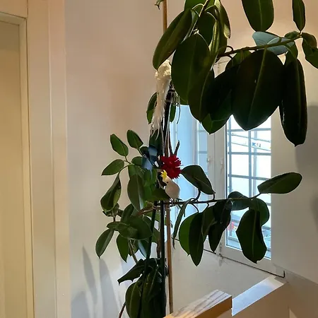 Diecivasi 3* Ravenne